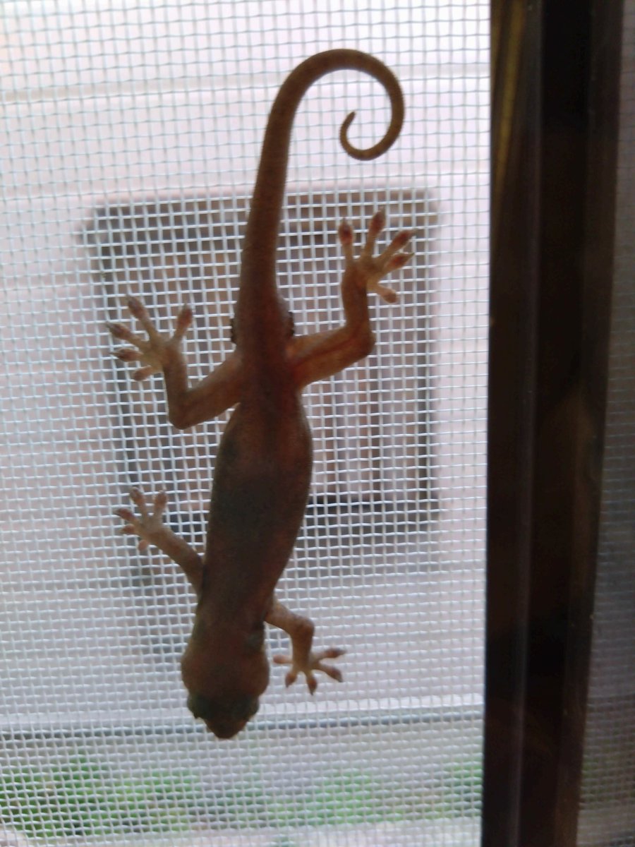 菊次郎@寛容と忍耐。 on X: 