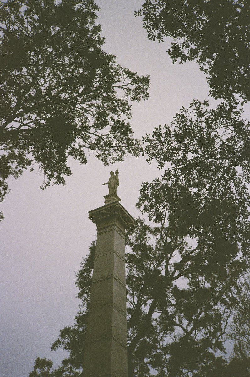 Down2Dylan's tweet photo. Savannah, GA - 35mm https://t.co/HhtL5iZB0K