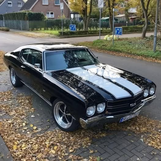 🇺🇸'70 Chevelle🇺🇸

Does anyone like it?