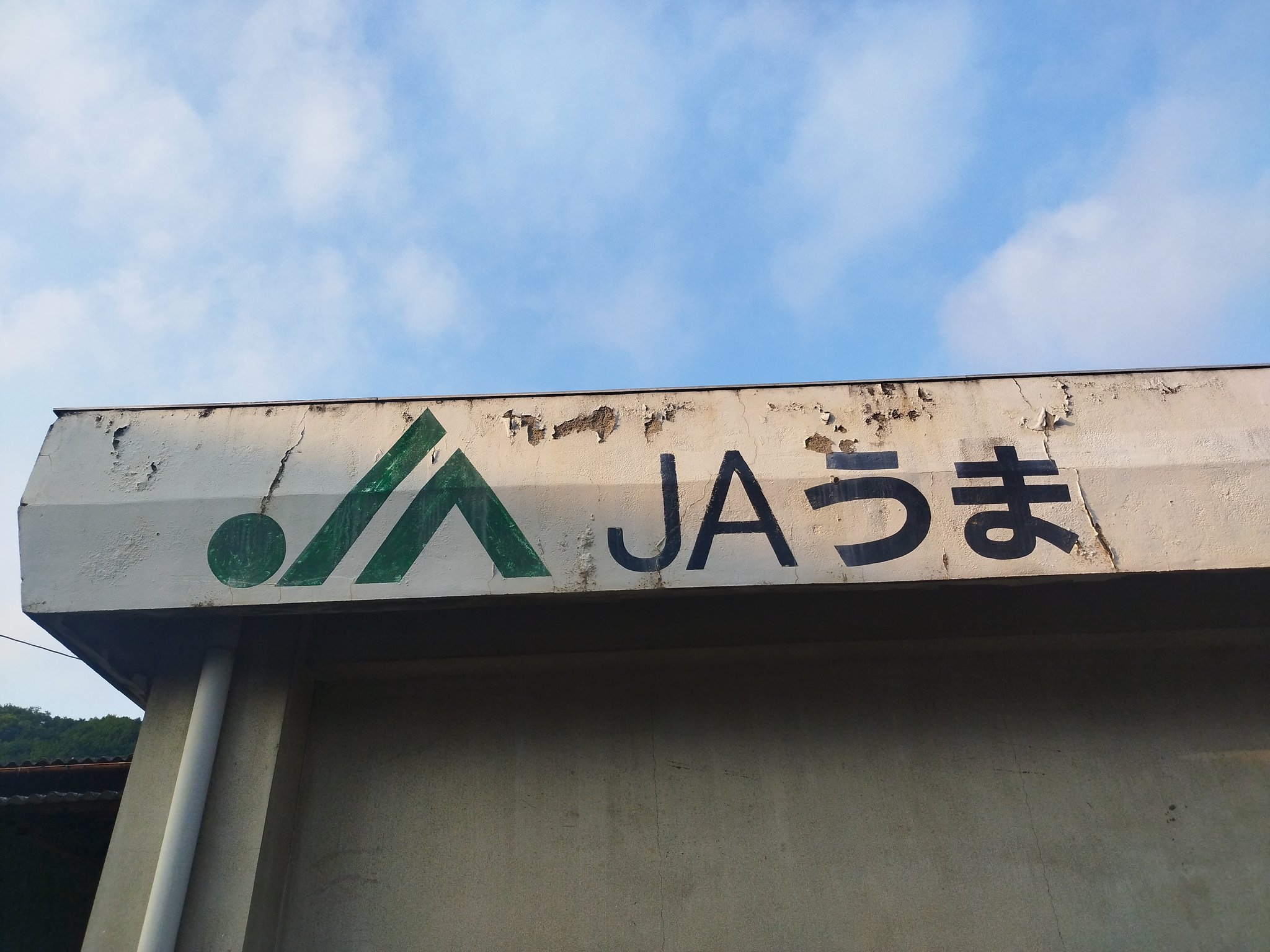 みとうま。 418s7rm+rTL._UF894,1000_QL80_.jpg