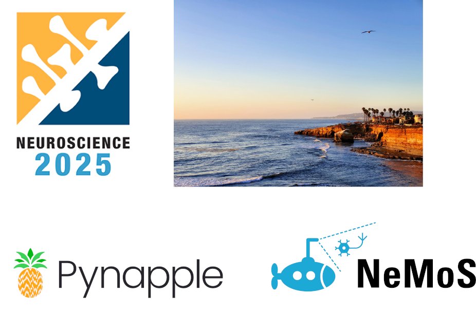 Pynapple (@thepynapple) on Twitter photo New workshop! Just before SFN, join the <a href="/FlatironInst/">Flatiron Institute</a> Center for Computational Neuroscience of the Simons Foundation for a workshop on pynapple and NeMoS. Learn how to use these open-source packages to analyze and model neural data! Accommodation & meals provided. Link⬇️ New workshop! Just before SFN, join the <a href="/FlatironInst/">Flatiron Institute</a> Center for Computational Neuroscience of the Simons Foundation for a workshop on pynapple and NeMoS. Learn how to use these open-source packages to analyze and model neural data! Accommodation & meals provided. Link⬇️
