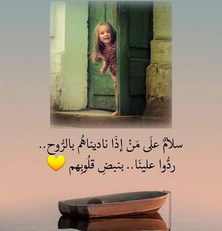 سلامٌ على من إذا ناديناهم بالروح ..
ردوا علينا ..بنبض قلوبهم !!

#مساء_الخير_والسعاده_للجميع 
#دانة_المشاعر🕊️🥀