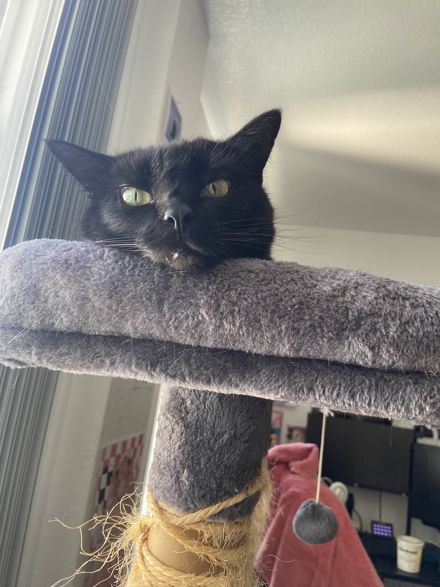 if you answer riddles three you may be freed