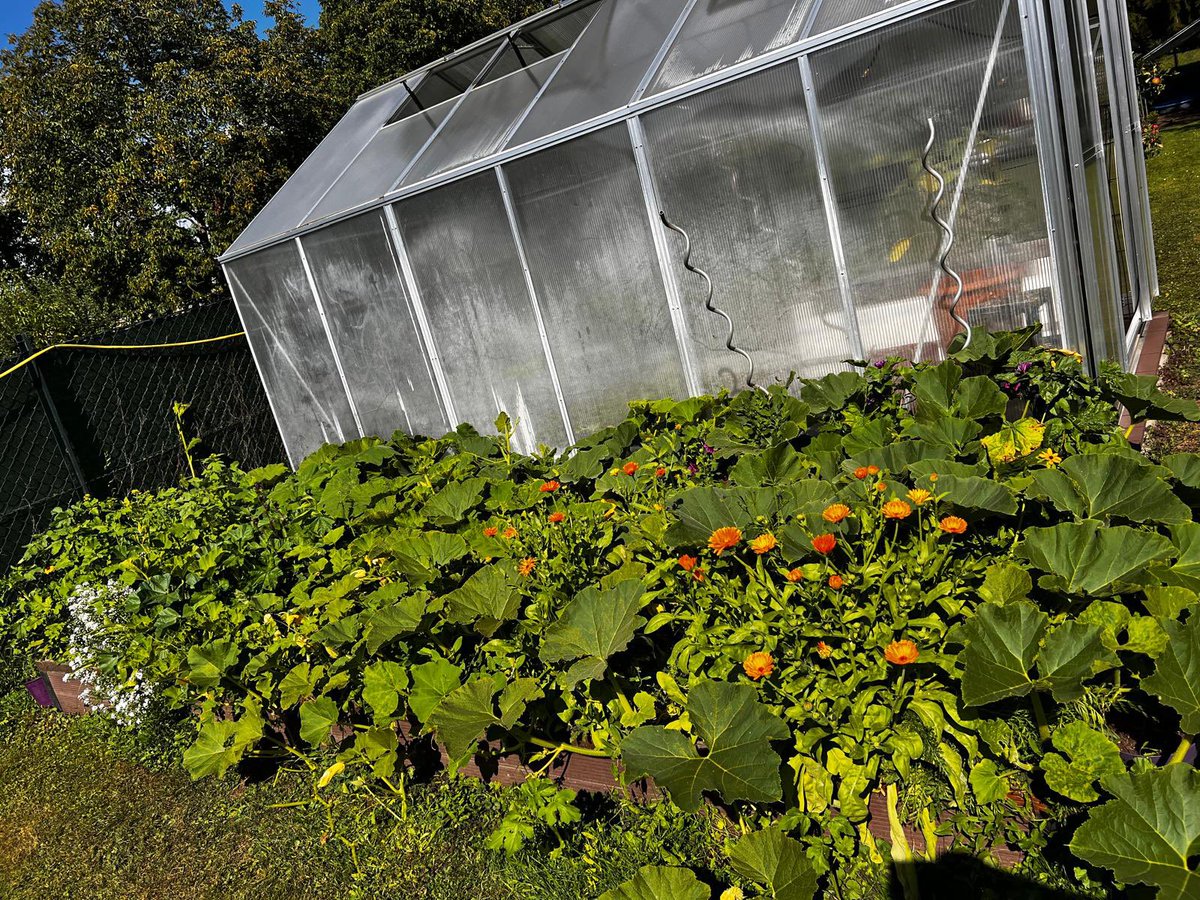 Leben auf dem Lande…