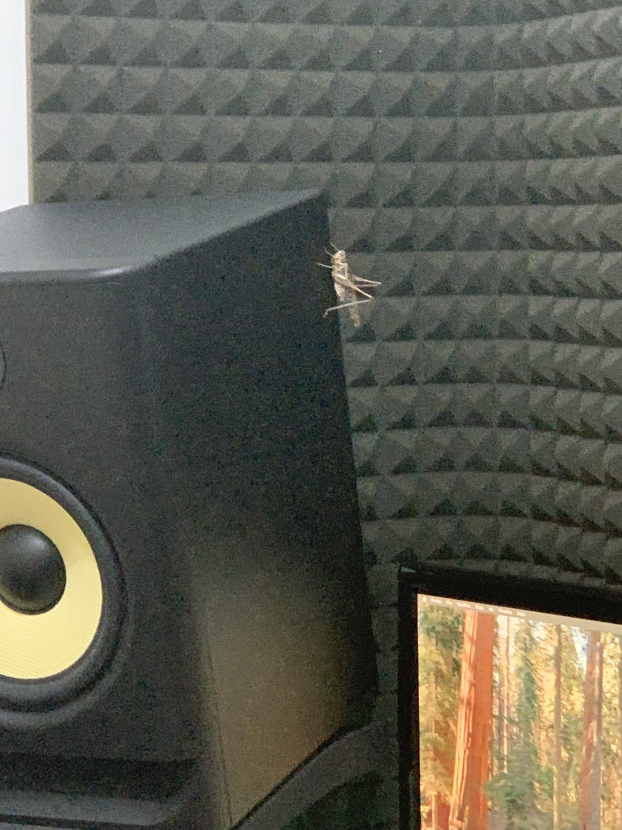 Piazzata in prima fila. 
Pronta a saltare 🦗
Se Baila 💃