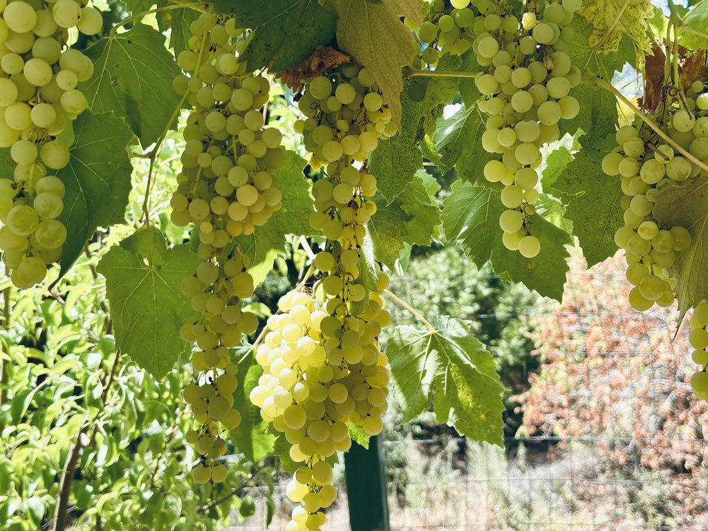 good day on the farm so far