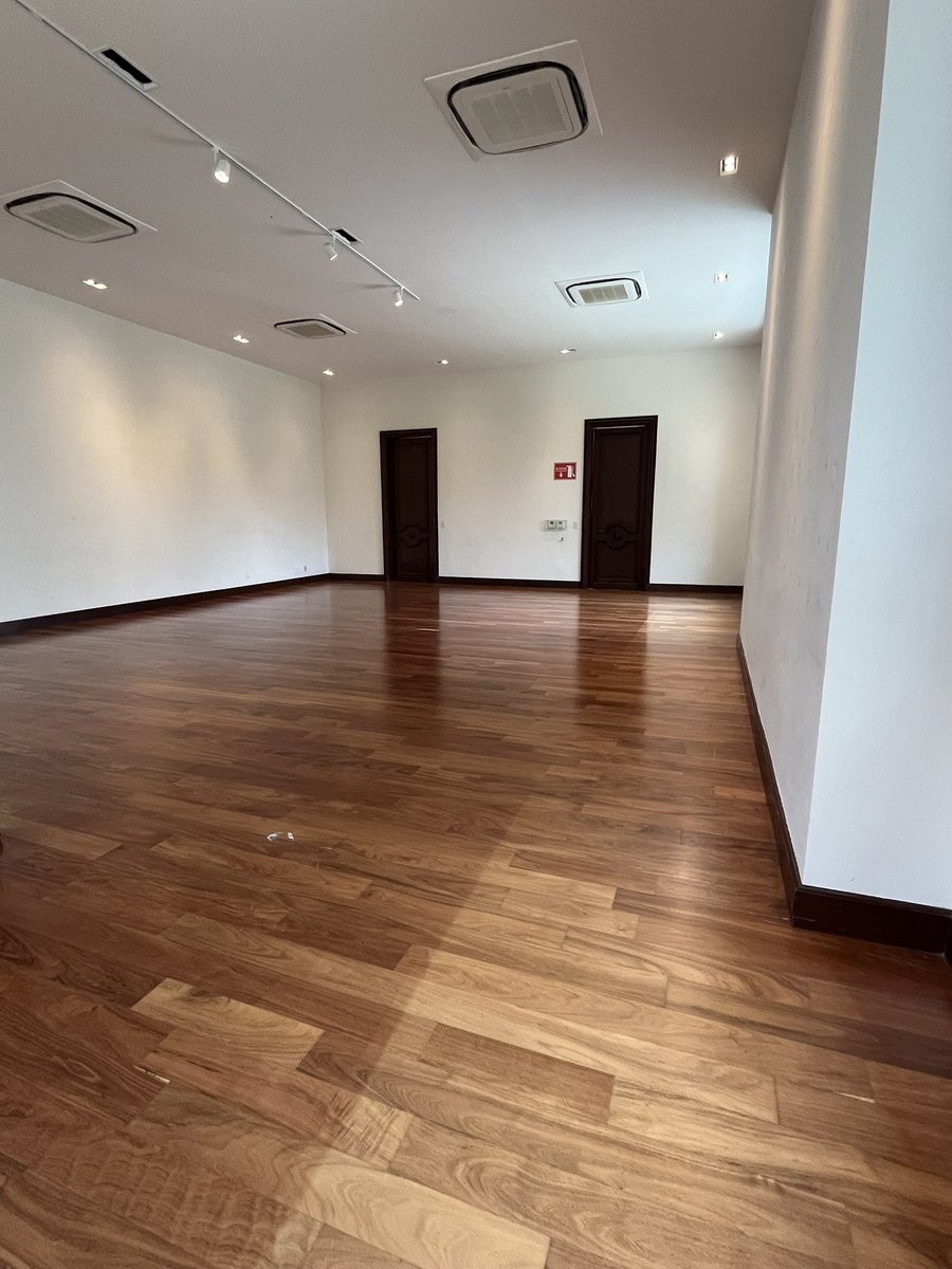 Oigan, no les conté: fui a Los Pinos y tengo cosas que decir 👇
La comida en los puestos de la entrada… HORRIBLE 🤢 (pedí gorditas y tlacoyos, asquerosos, lo siento por la gente de ahí que se ve muy trabajadora).
Los jardines: increíbles 🌿 Me encantaron. 
La casa: