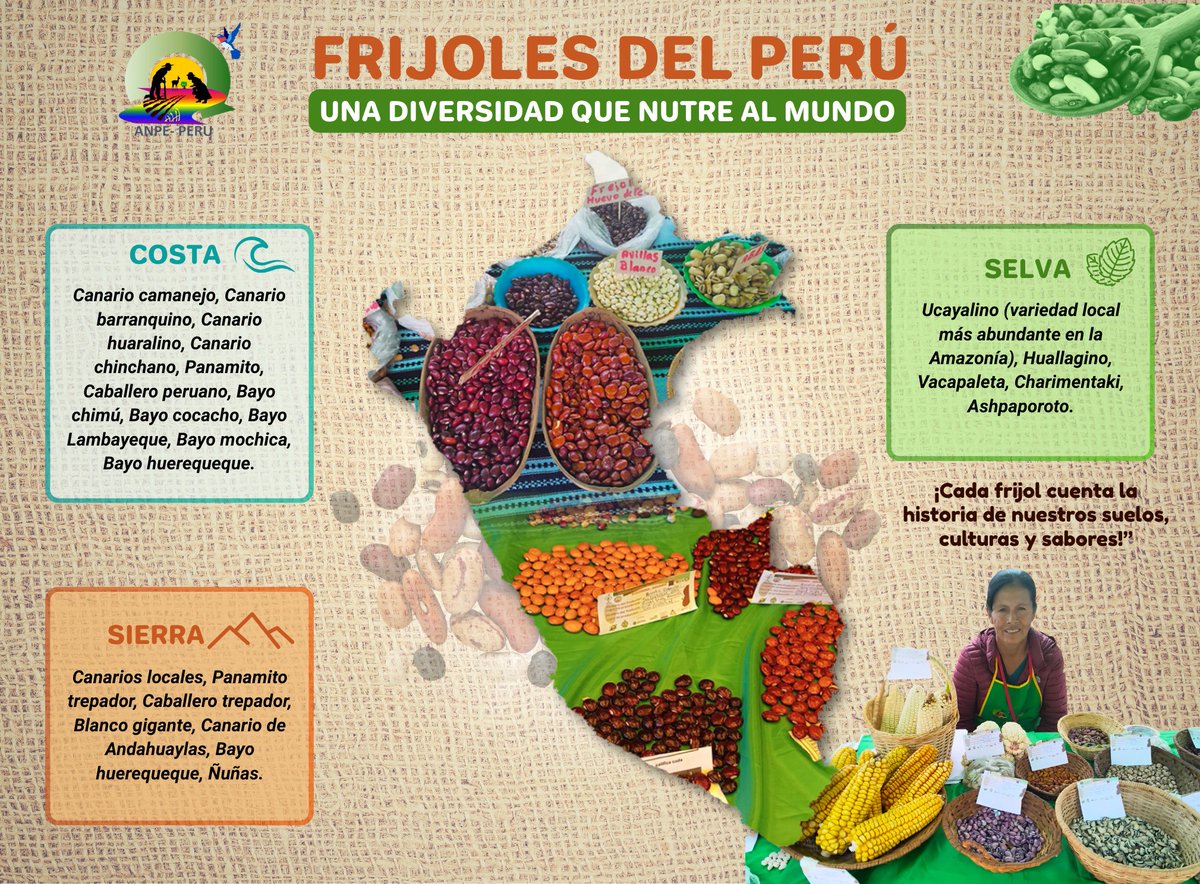 ¿𝗦𝗮𝗯𝗶́𝗮𝘀 𝗾𝘂𝗲 𝗲𝗻 𝗲𝗹 𝗣𝗲𝗿𝘂́ 𝗲𝘅𝗶𝘀𝘁𝗲 𝘂𝗻𝗮 𝗱𝗶𝘃𝗲𝗿𝘀𝗶𝗱𝗮𝗱 𝗱𝗲 𝗳𝗿𝗶𝗷𝗼𝗹𝗲𝘀?𝐂𝐚𝐝𝐚 𝐟𝐫𝐢𝐣𝐨𝐥 𝐞𝐬 𝐮𝐧 𝐥𝐞𝐠𝐚𝐝𝐨 𝐯𝐢𝐯𝐨, 𝐫𝐞𝐟𝐥𝐞𝐣𝐨 𝐝𝐞 𝐧𝐮𝐞𝐬𝐭𝐫𝐚 𝐜𝐮𝐥𝐭𝐮𝐫𝐚 𝐲 𝐬𝐚𝐛𝐞𝐫𝐞𝐬 𝐚𝐠𝐫𝐨𝐞𝐜𝐨𝐥𝐨́𝐠𝐢𝐜𝐨𝐬.