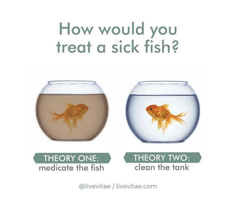 This is a lesson for all of us 
working in the health care system.

For most chronic diseases 
we need to focus more on cleaning the tank.