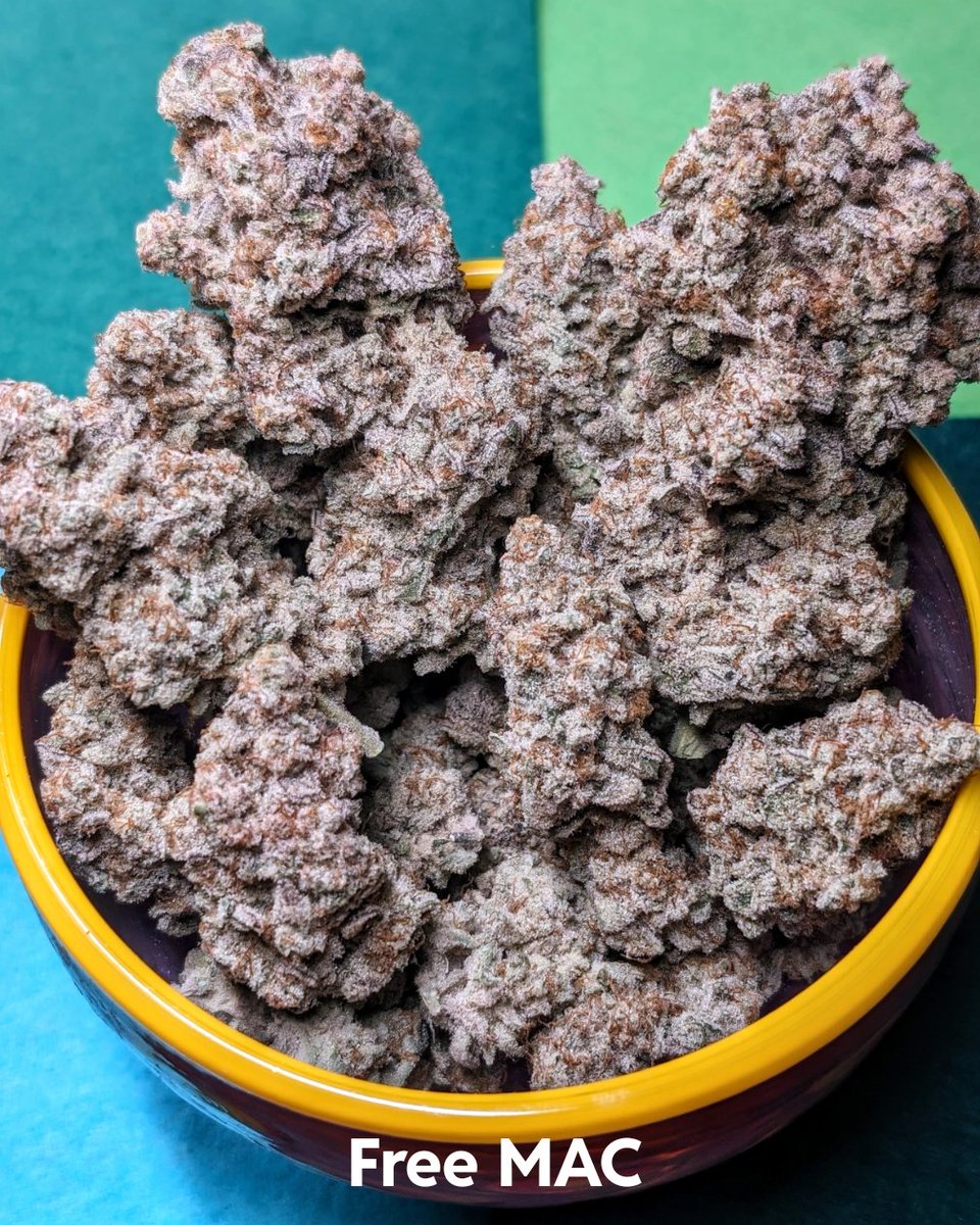 WizardTree7's tweet image. 