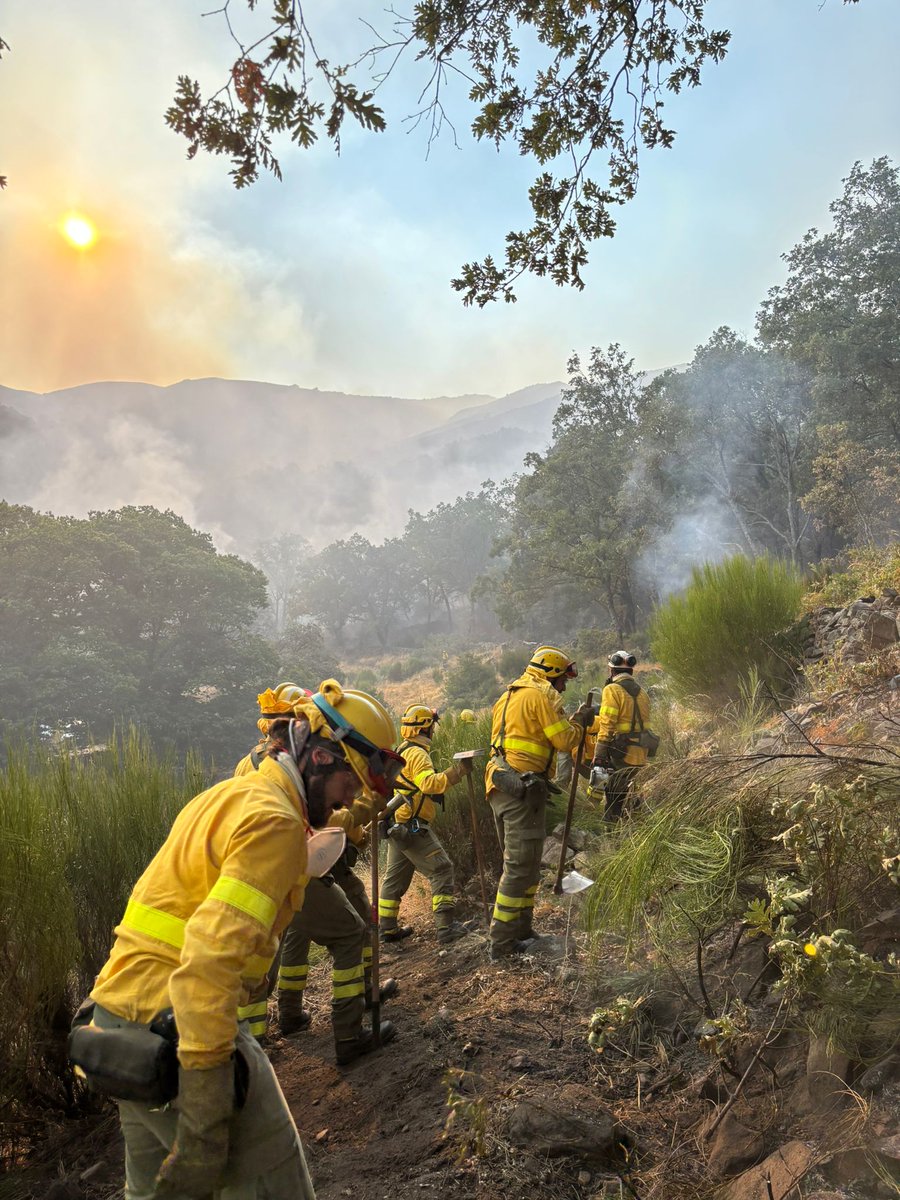 Andres_Lara2's tweet photo. Enorme el trabajo de los 25 efectivos y 6 unidades de extinción #BBFF de Parques Nacionales de Cabañeros y Las Tablas de Daimiel y Valsain 🧑‍🚒🚒🧑‍🚒🚒🧑‍🚒🚒 que han intervenido en los #IIFF de #Extremadura
Gracias @mitecogob @PLANINFOEX @UMEgob @AT_Brif @Plan_INFOCAM @proteccioncivil https://t.co/2zNhx2gSOG