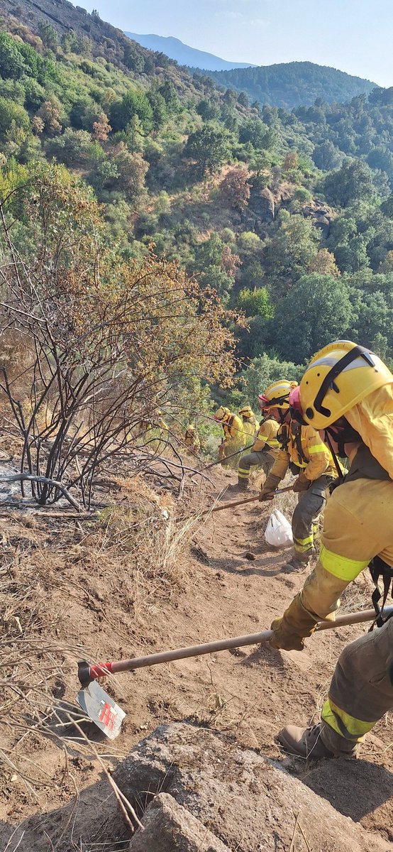 Andres_Lara2's tweet photo. Enorme el trabajo de los 25 efectivos y 6 unidades de extinción #BBFF de Parques Nacionales de Cabañeros y Las Tablas de Daimiel y Valsain 🧑‍🚒🚒🧑‍🚒🚒🧑‍🚒🚒 que han intervenido en los #IIFF de #Extremadura
Gracias @mitecogob @PLANINFOEX @UMEgob @AT_Brif @Plan_INFOCAM @proteccioncivil https://t.co/2zNhx2gSOG