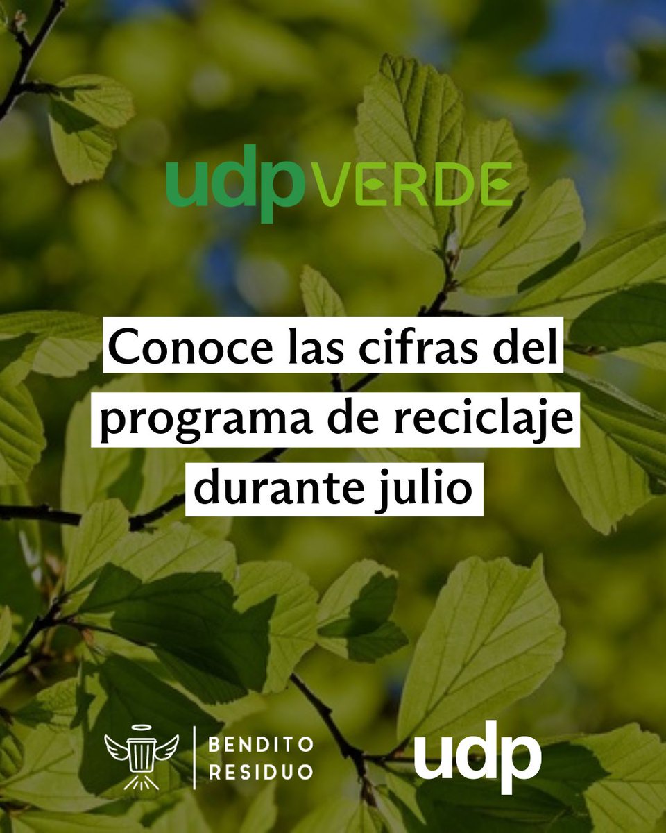 Revisa el informe con las novedades en julio de #UDPVerde♻️🌱

En el último mes se dio inicio al voluntariado #AgentesUDPVerde, que sumó a más de 40 estudiantes de las distintas facultades en la promoción de la conciencia ambiental y sostenibilidad.

ℹ️udp.cl/las-cifras-y-n…📲