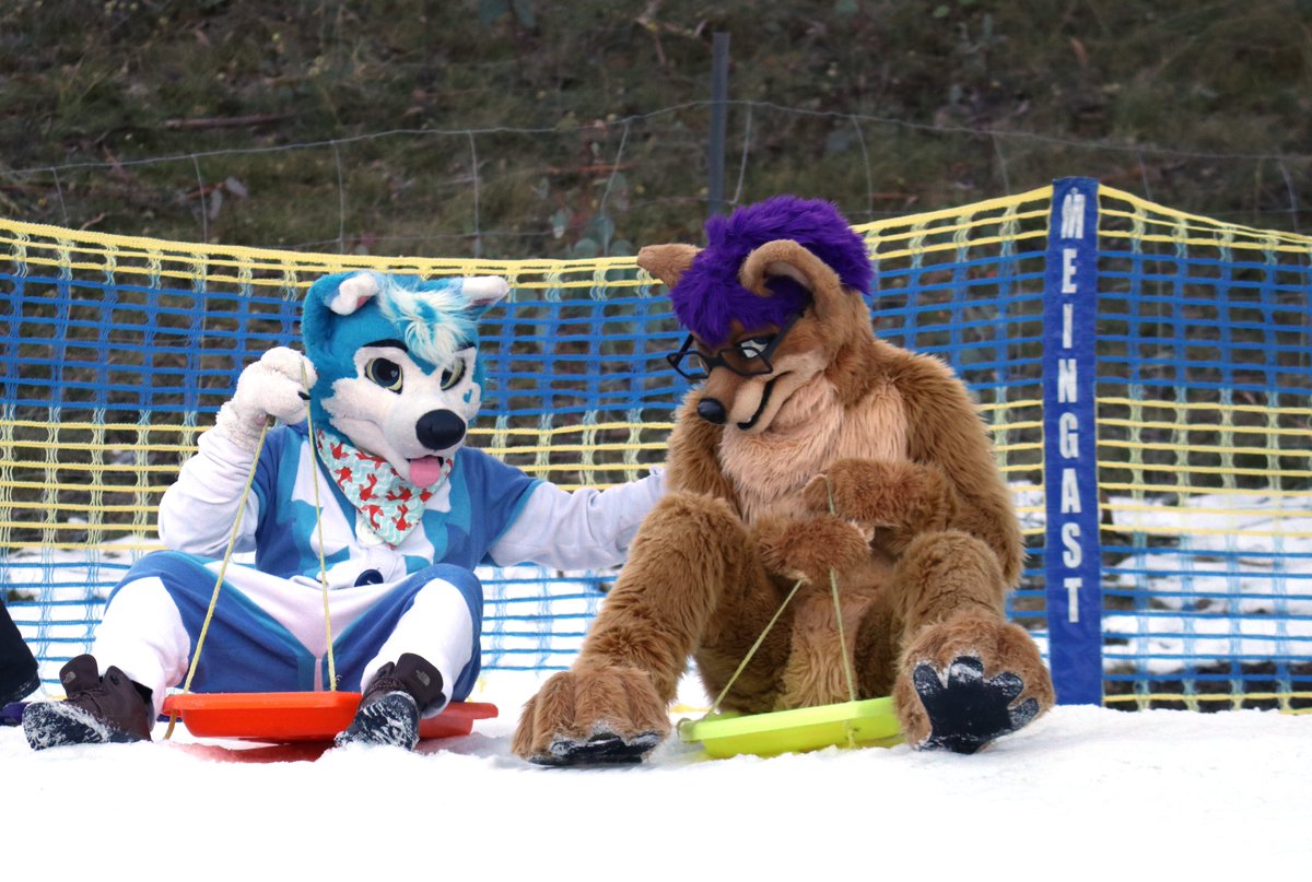 Kal Dingo (@kalthedingo) on Twitter photo Last one to the bottom is a smelly dog! <a href="/Blusicurl/">Bluee 🦋 social 🔜 FurGiv</a> Last one to the bottom is a smelly dog! <a href="/Blusicurl/">Bluee 🦋 social 🔜 FurGiv</a>