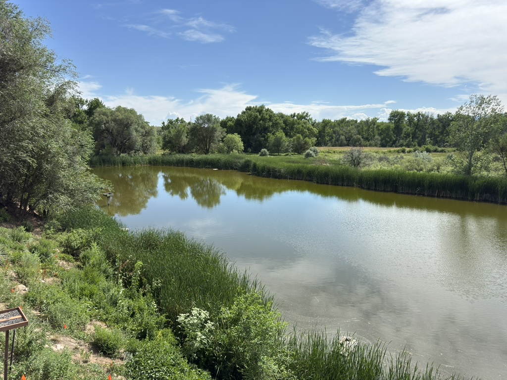 LiamBroza's tweet image. #ColoradoSprings