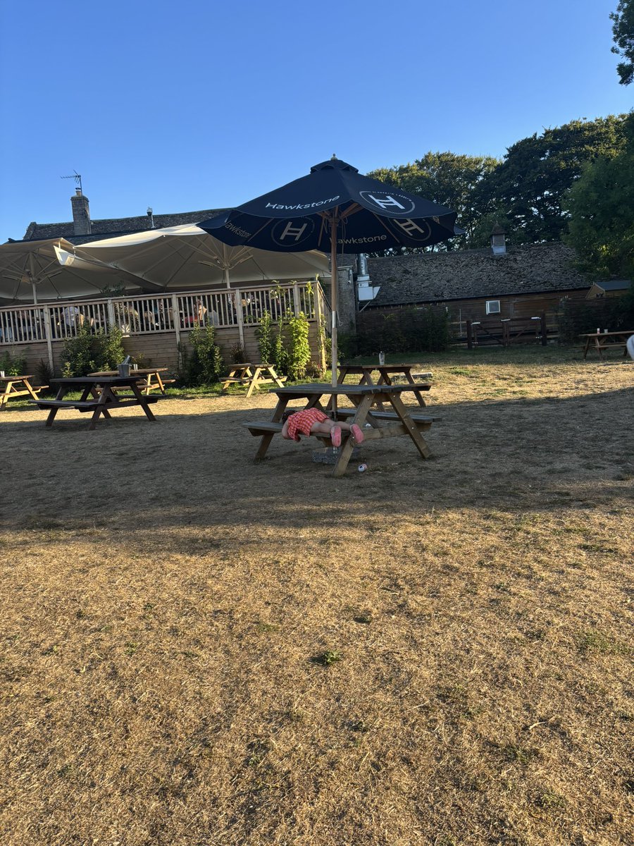 fulham_c's tweet photo. Heavy bank holiday sesh at The Farmer’s Dog @JeremyClarkson ☀️ https://t.co/kHVnUZbaOO
