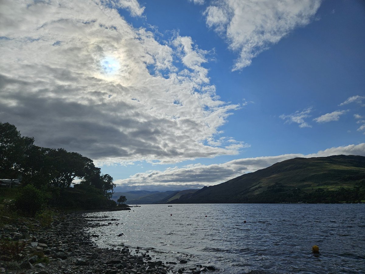 Hoopy Honey tweet media