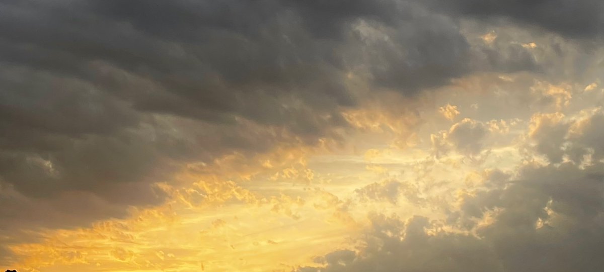 r (@moonittself) on Twitter photo 