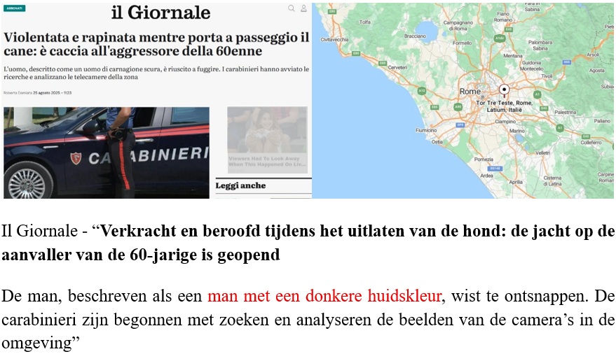 LowikRonald's tweet photo. In de serie ‘Dagelijkse Migratie- en Asielellende’ kijk ik vandaag met u naar de brute beroving en verkrachting van een vrouw afgelopen zondagochtend in een park dat onderdeel uitmaakt van het Tor Tre Teste-gebied in Rome (Italië):
#omvolking #architecten #grenzendicht https://t.co/WCEYB7Sp7v