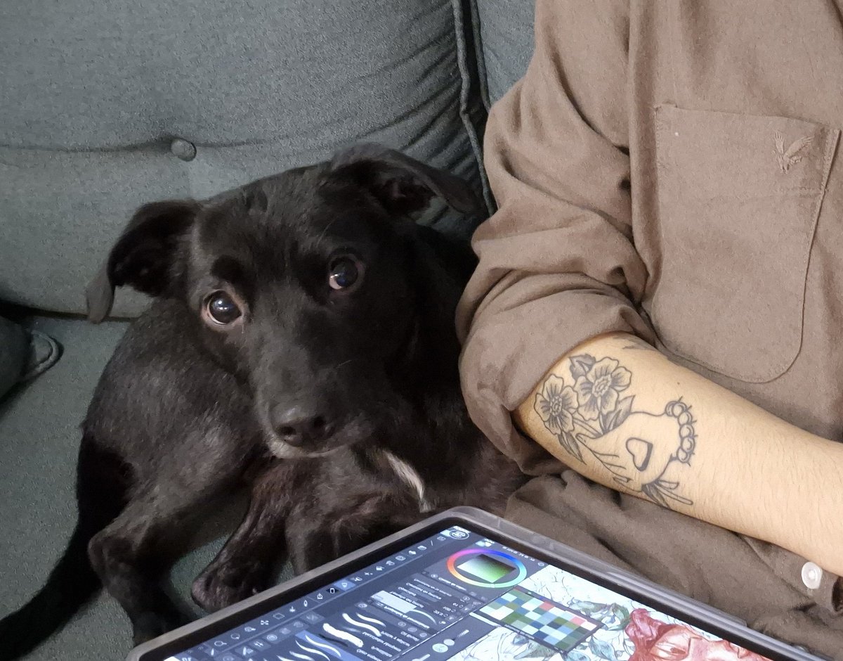 Patricio, ayudante de dibujo ✏️