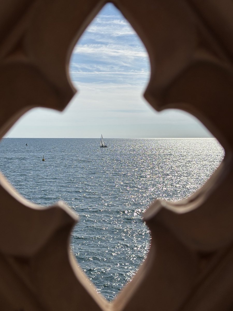 Quando il mare è calmo ogni stronzo è marinaio