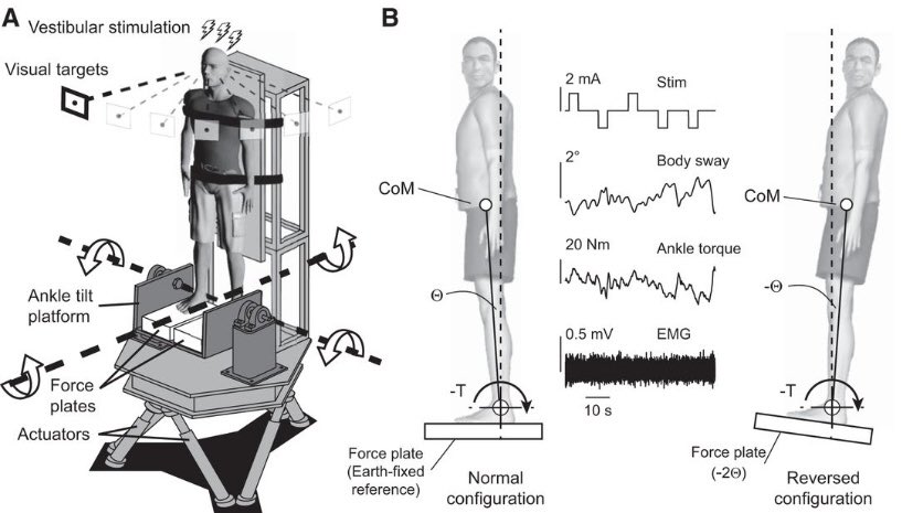 Brandon Rasman (@neurorazz) on Twitter photo Will soon cover in depth an informative study that used a robotic balance simulator to investigate human balance control Will soon cover in depth an informative study that used a robotic balance simulator to investigate human balance control