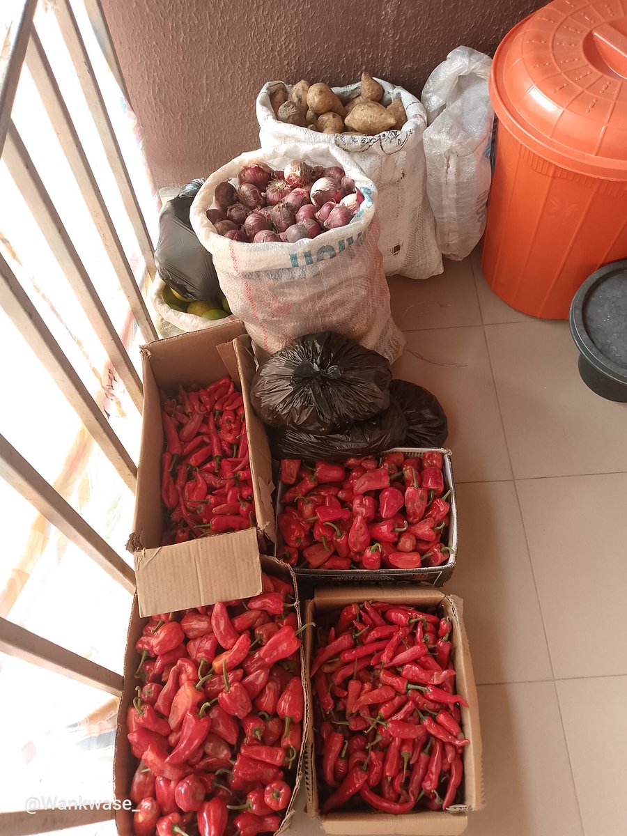 THANK GOD FOR TODAY! 🙏

Thank you so much for your patronage. 

We have New yam, Tomatoes, Pepper, Shombo, Tatashe, Unpeeled Egusi, Irish potatoes, Sweet potatoes, Fresh Groundnut etc. 
It's End of Month, Time to Restock!! We deliver Nationwide!!
SEND A DM!!!