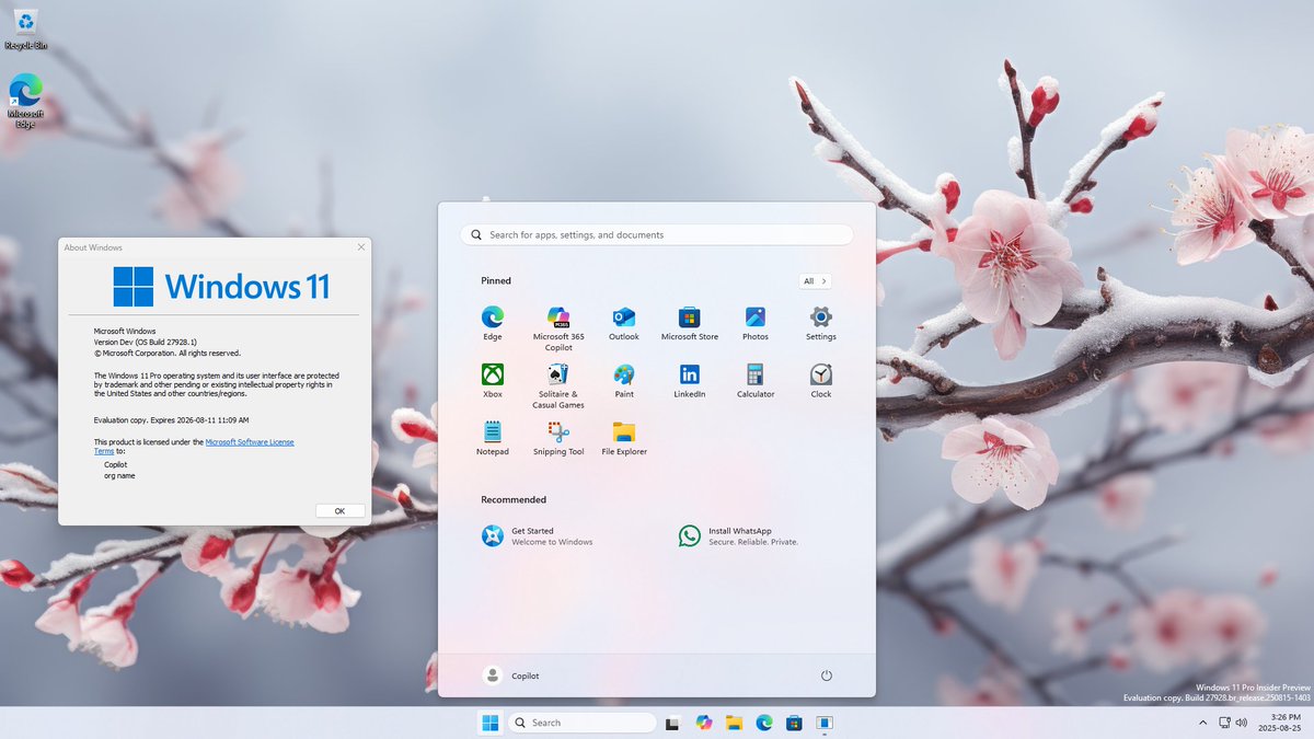 NotAzureSaturn's tweet image. my win11 canary vm