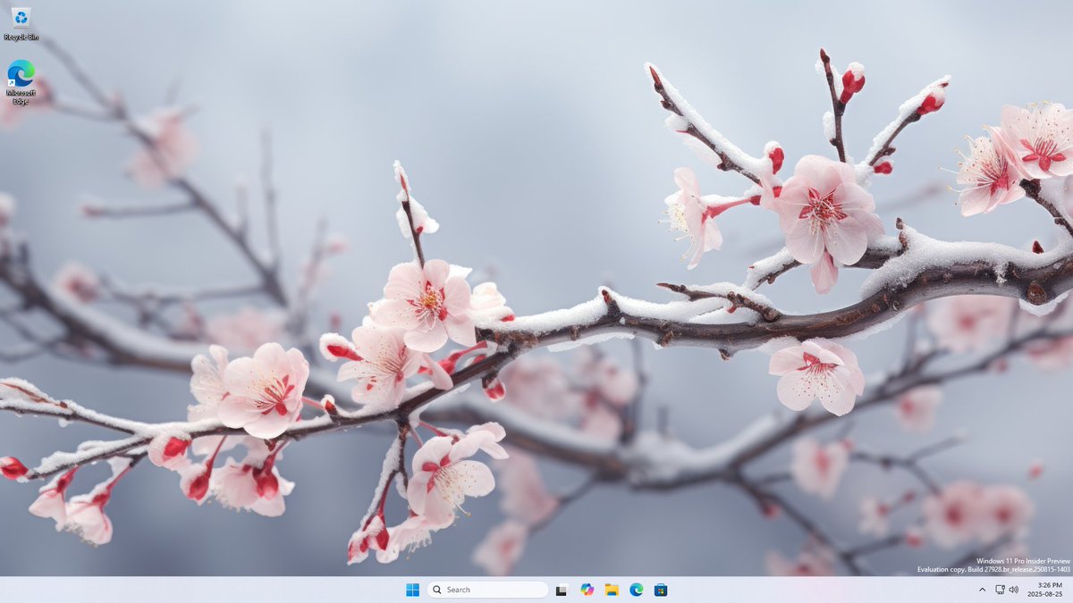 NotAzureSaturn's tweet image. my win11 canary vm