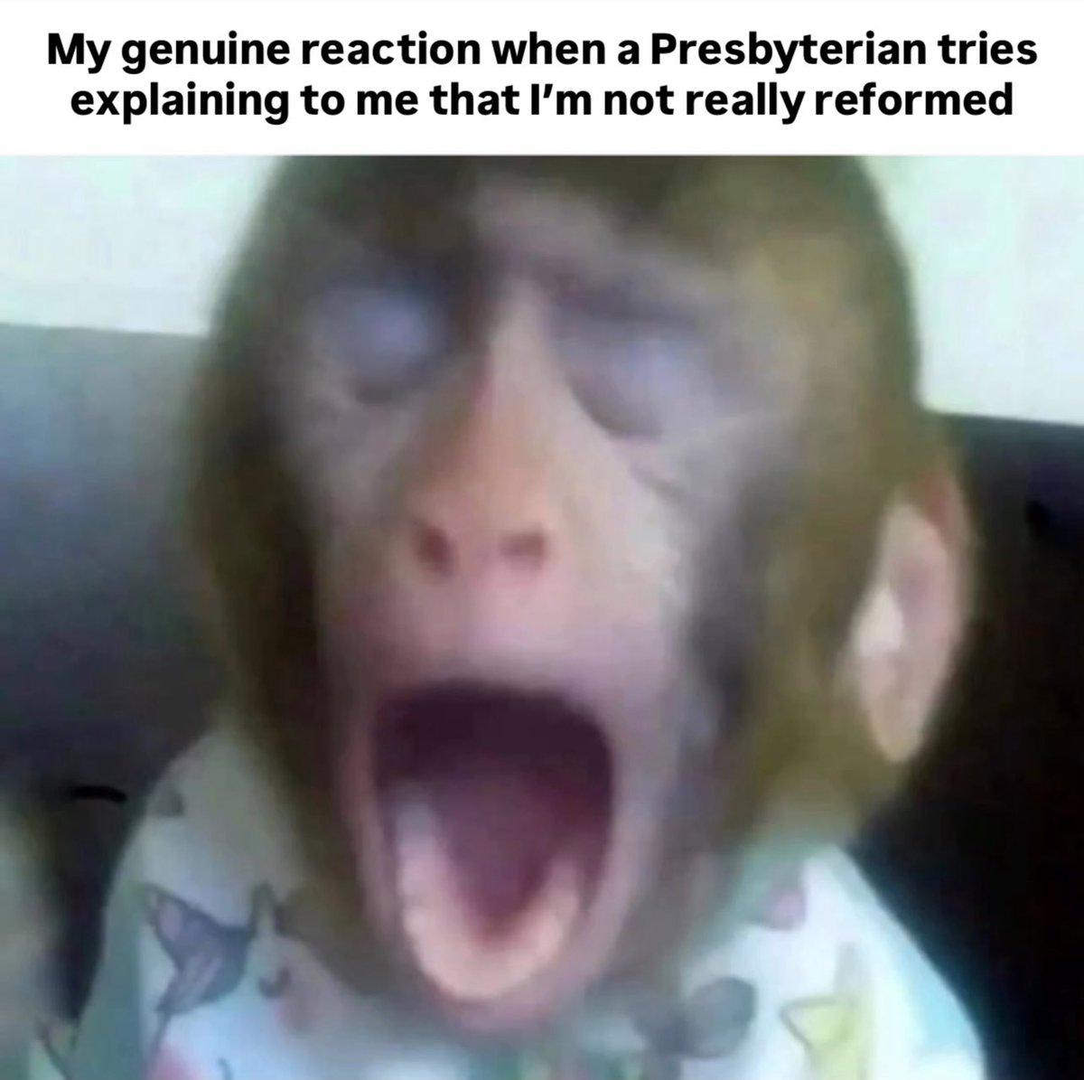 Only Baptists are truly reformed 🥱