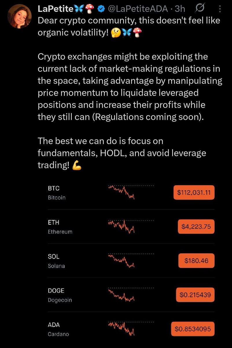 Price goes up = organic 💪
Price goes down = manipulation 😱

People never change. Markets are always volatile. Yet there are still conspiracies like this
