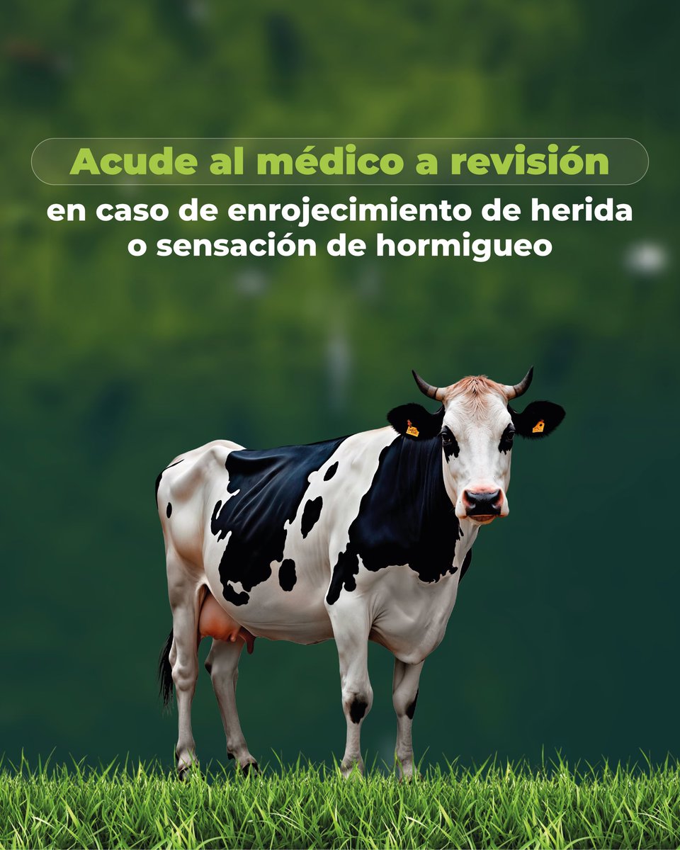 EL GUSANO BARRENADOR DEL GANADO TAMBIÉN PUEDE AFECTAR AL SER HUMANO

Si presentas una infección en tu piel, puede ser causada por el gusano barrenador. Identifica los síntomas y acude a tu Unidad Médica de manera inmediata. 

No tengas miedo de avisar. ¡Detectar a tiempo puede