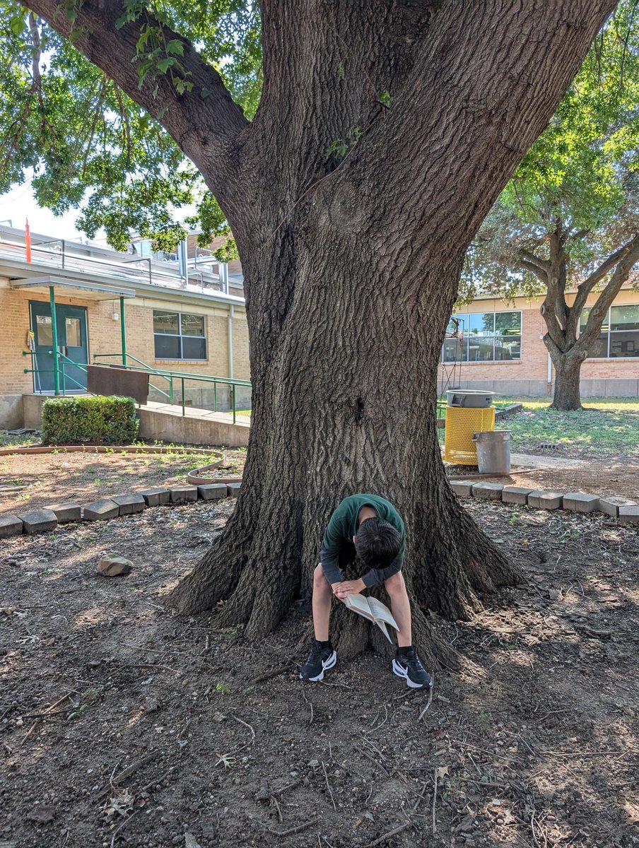 MsPatelLibrary's tweet image. Our students had a blast checking out books and reading under the trees in the courtyard! 🌳📖 There's something magical about stories coming to life in the fresh air and sunshine! ☀️ @DISD_Libraries @CasaViewES