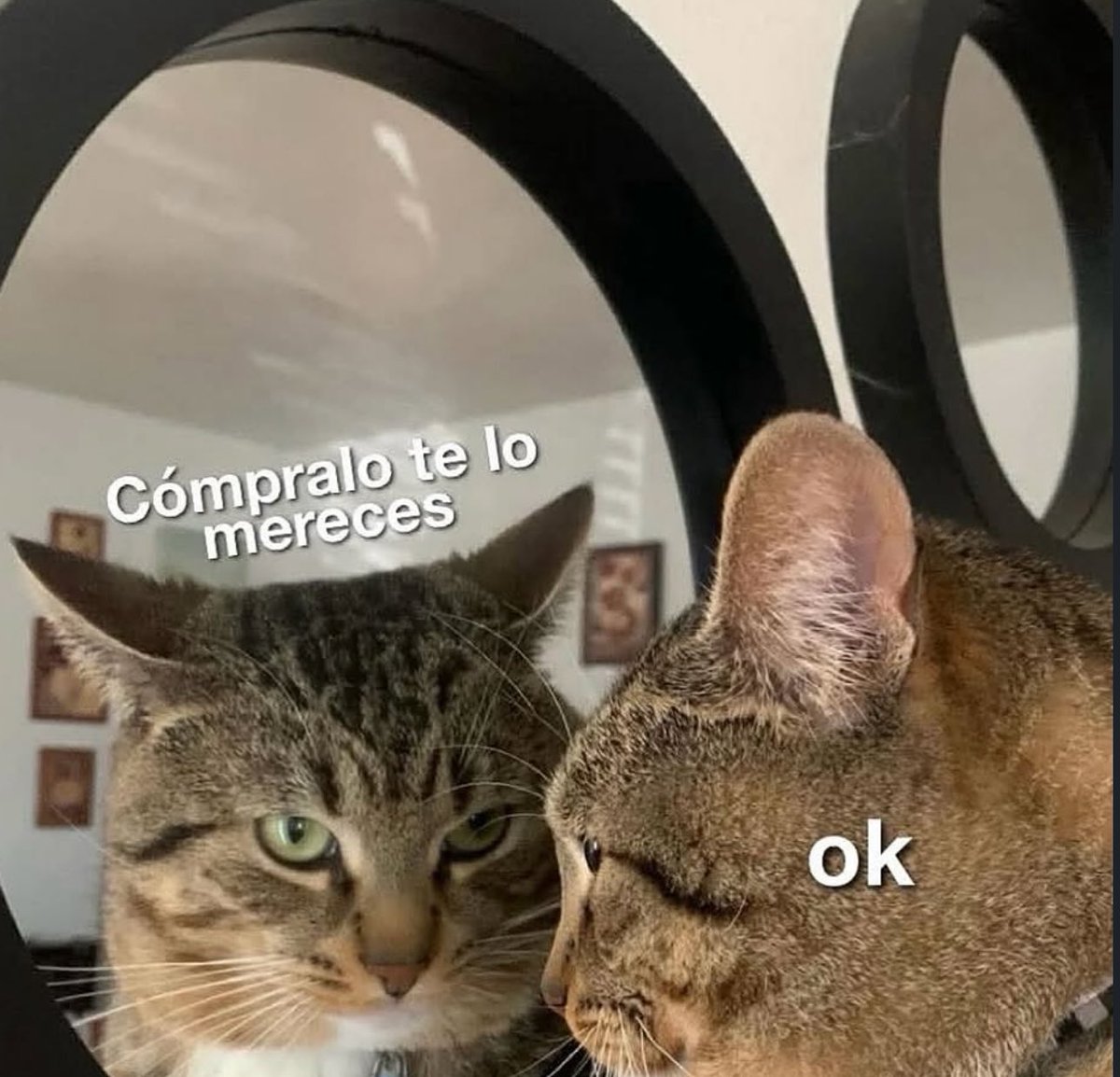 skereunpesado's tweet image. 