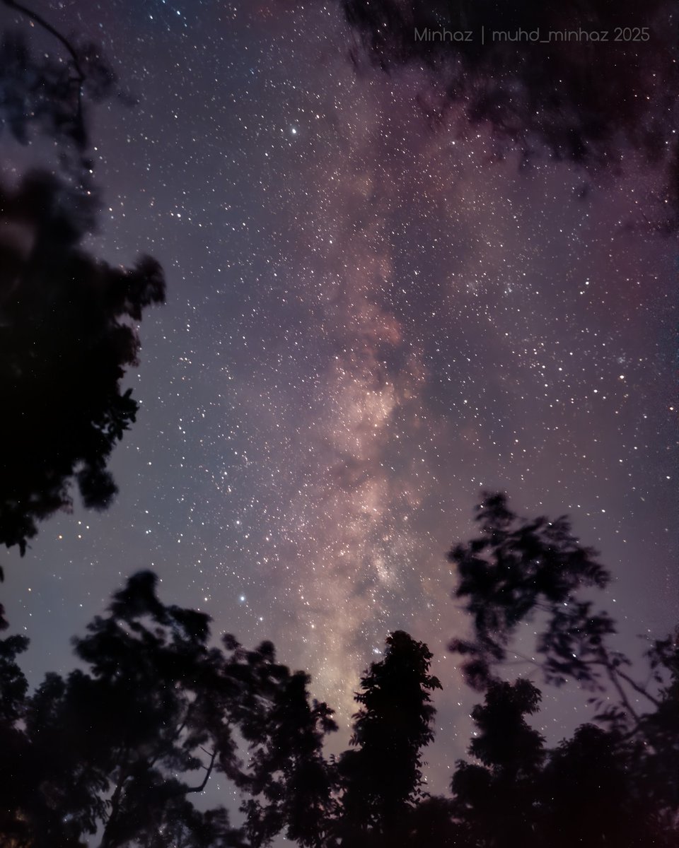smartphone_astr's tweet image. By @muhd_minhaz - #milkyway framed by the dark forest ✨
📱 #OnePlus8pro 
📸 Stock
⚙️ 20s ISO1600
🎨 DNG Processed in Lightroom
Denoised using Nero Ai denoiser tool
🌌Bortle 4 Sky, Barishal, #Bangladesh / #mobilephotography #smartphone_astrophotography #Astrophotography
