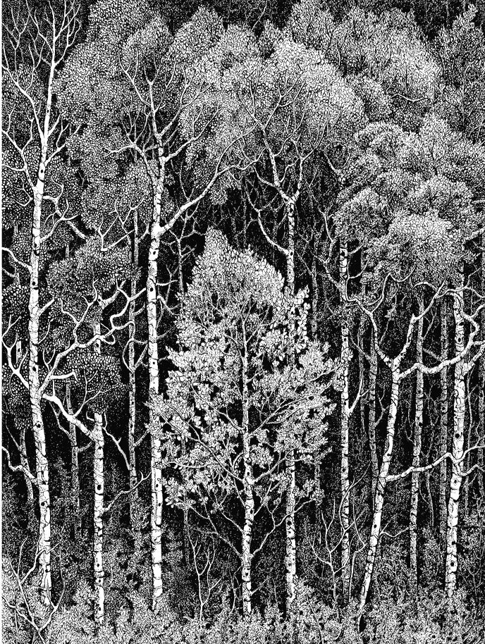 Take me to the forest?