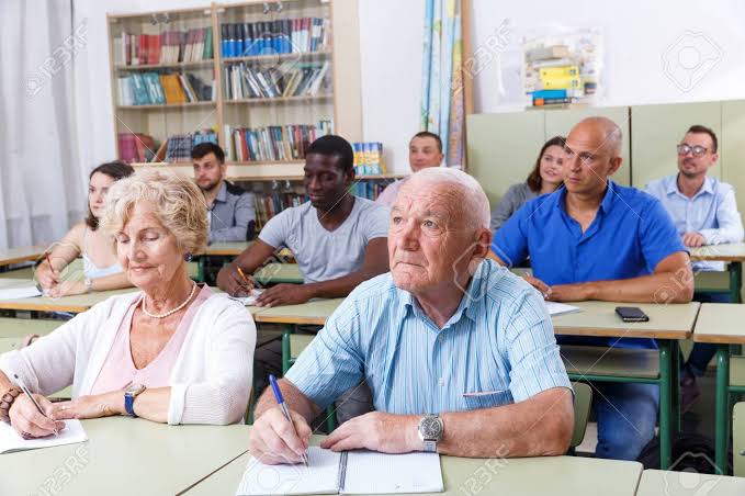 Temsili Milli Eğitim Akademileri