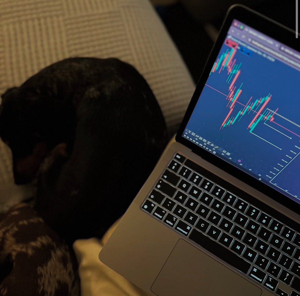 nicholaswave0's tweet image. Some says it’s a GOLDEN opportunity, others says it’s a trap waiting to drain accounts.