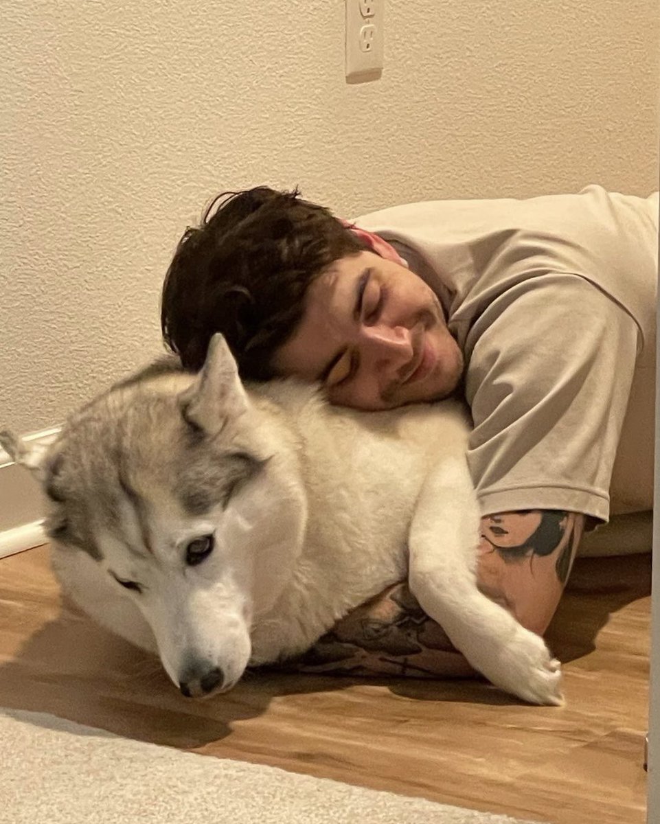 dekkster tweet media