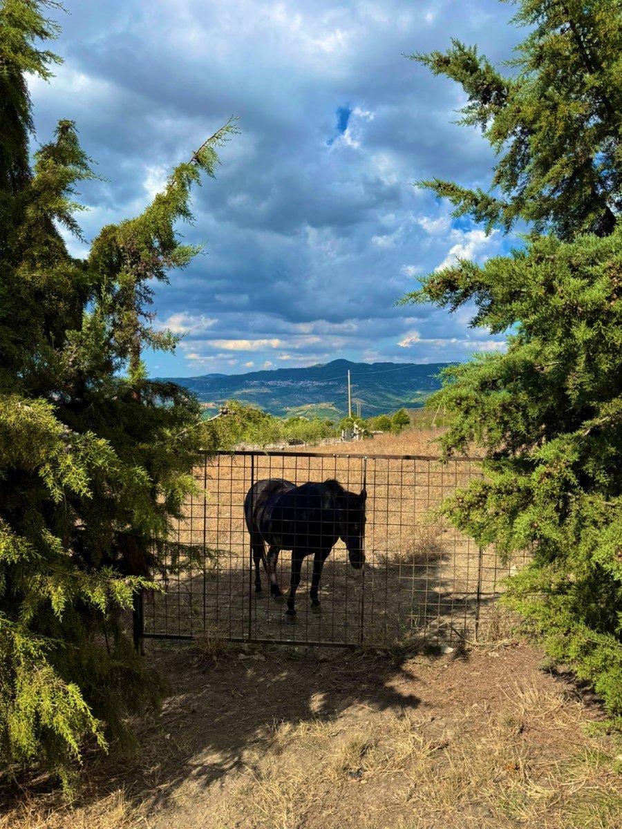 ripples_cc's tweet image. 