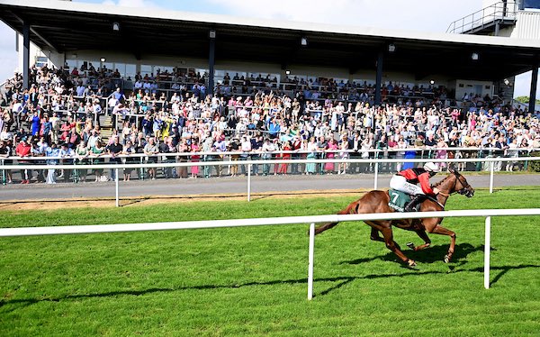 Gordon Elliott tweet media