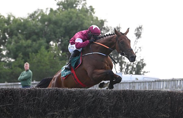 Gordon Elliott tweet media