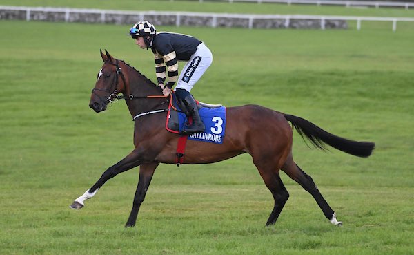 Gordon Elliott tweet media
