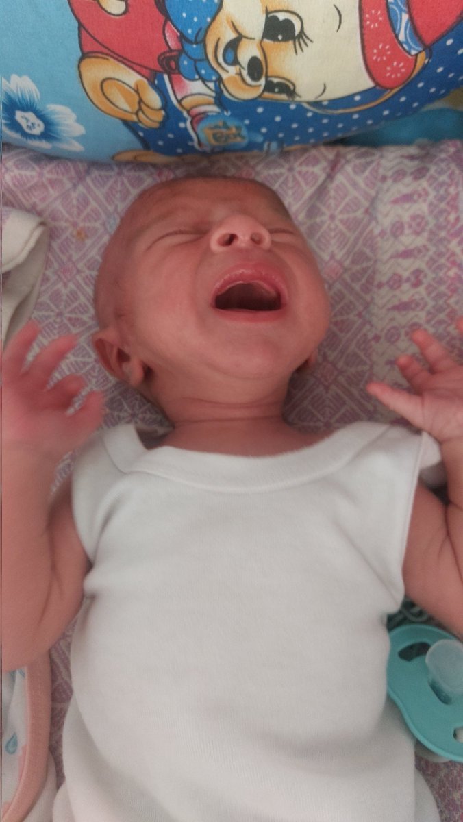 Raghad Shamia tweet media