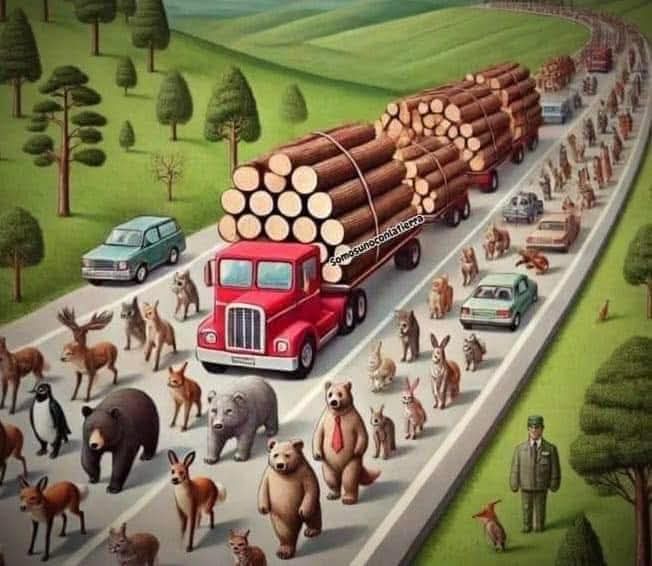 projetolixotec's tweet image. Precisa de legenda?