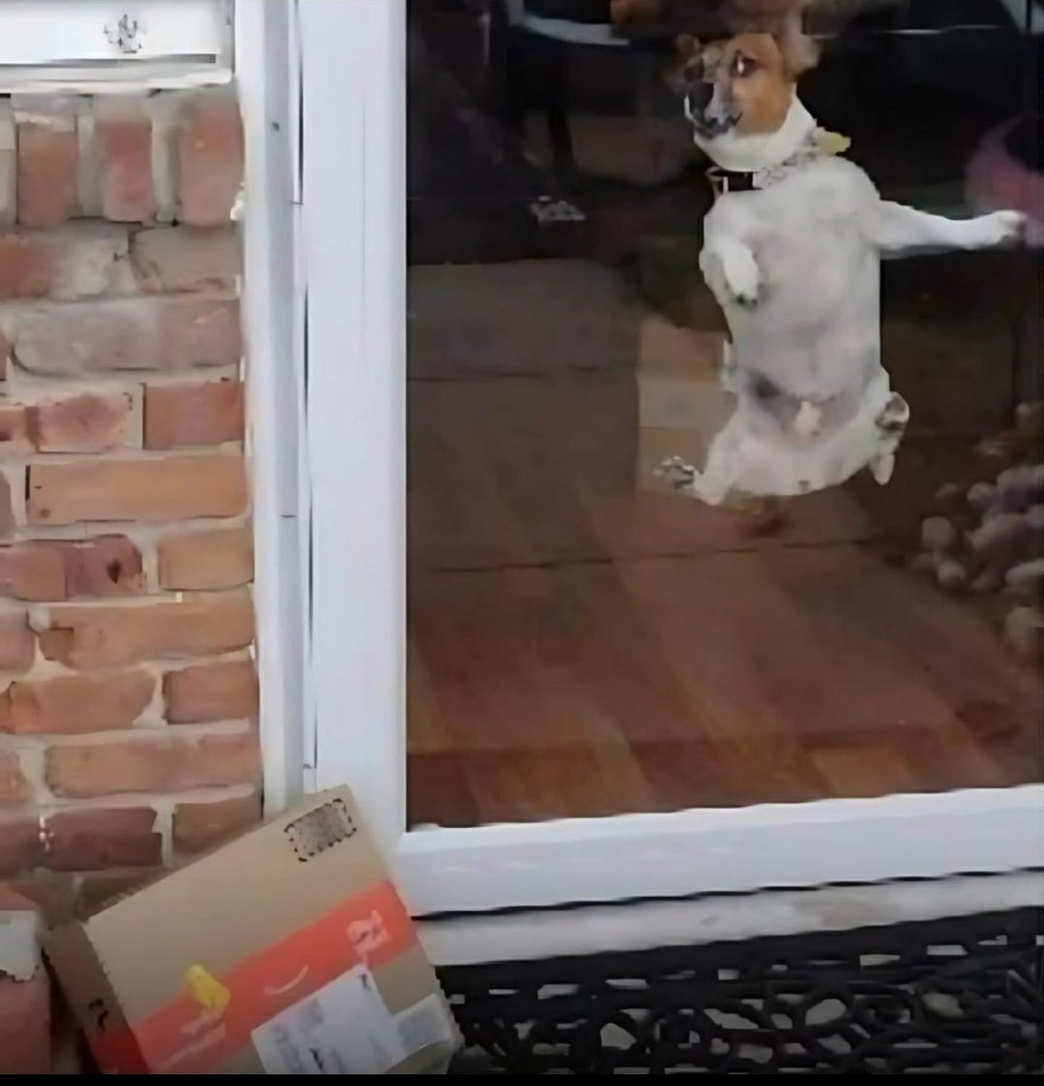 Proof of delivery photo: 10/10.