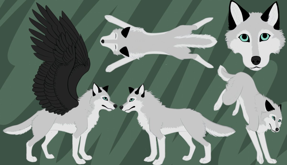 Nitalla's tweet image. Character sheet for Nitalla after having her as a character for almost 20 years.
#wolfart #art #furryart #wolfartist #charactersheet