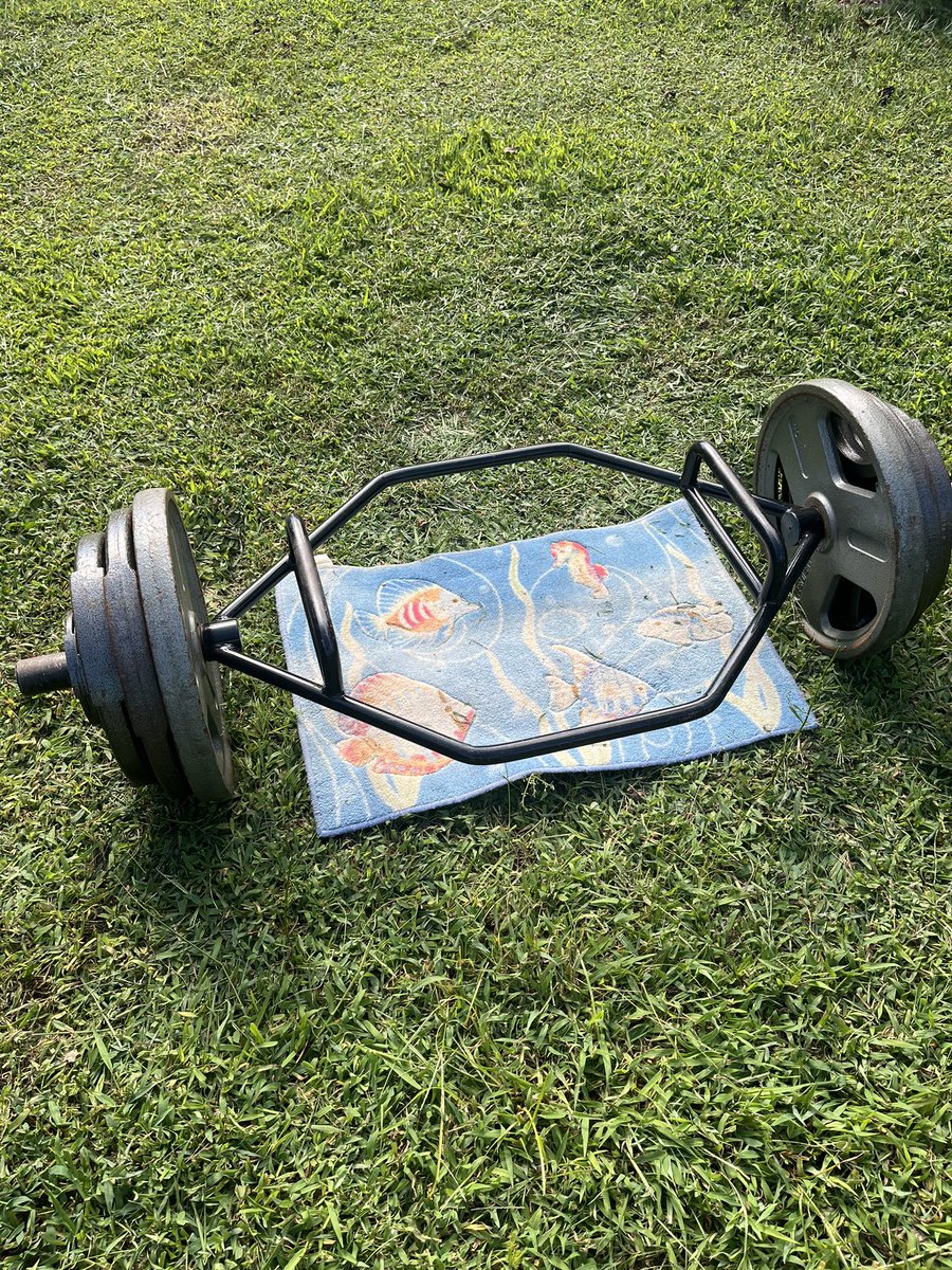 asonofabeach609's tweet image. Took my show outside this afternoon,
Now pool 🏊 Max effort 500lb 2x1
Then weight for reps, changed up to freestyle for a change of pace.
Who else’s uses the liquid chalk?
Powred again by AlaniNu 💪🏻
#500 #hexbar #pumpingiron #poolside 
#fitness @AlaniNutrition