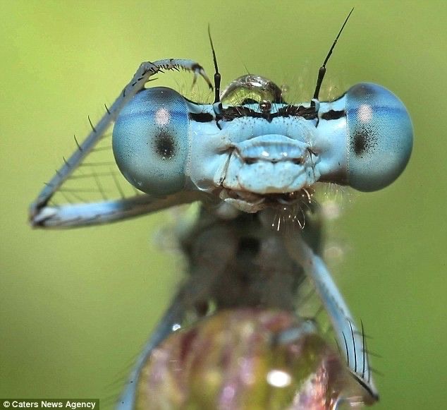 They’re busy wondering and wondering