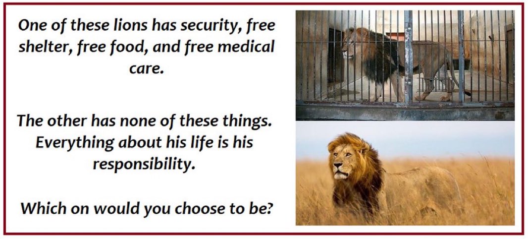 Which do you prefer? They got us halfway in that prison with the Patriot Act!